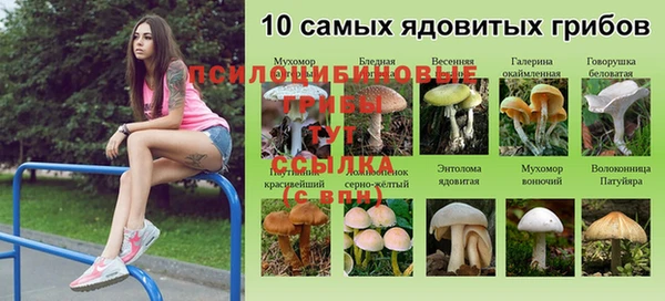 СК Краснотурьинск