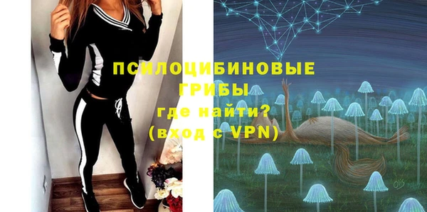 СК Краснослободск