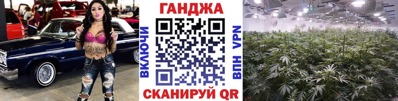 Купить где  Мамадыш  Бошки марихуана ГИДРОПОН 